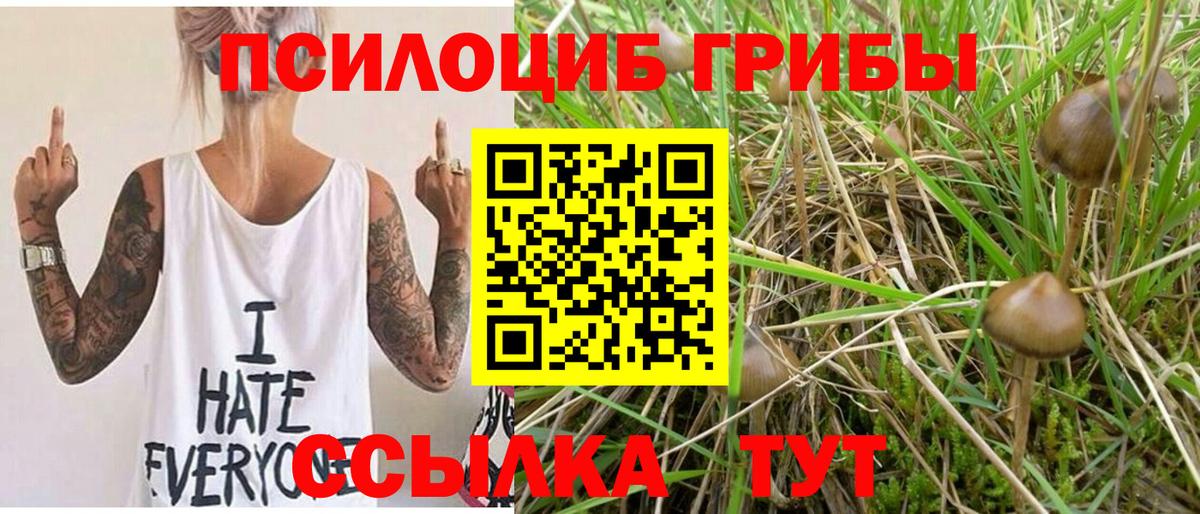 Галлюциногенные грибы Cubensis Гудермес