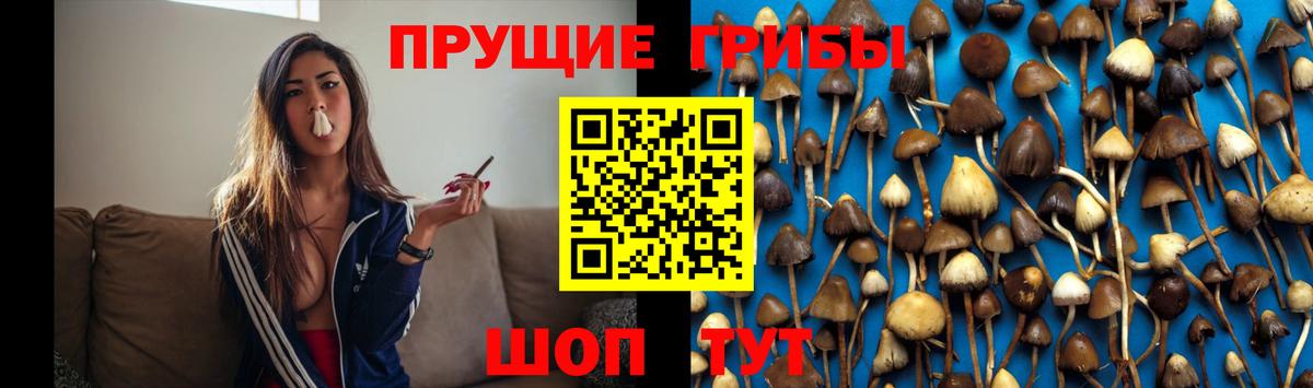 Псилоцибиновые грибы прущие грибы  Вход с VPN  Гудермес 
